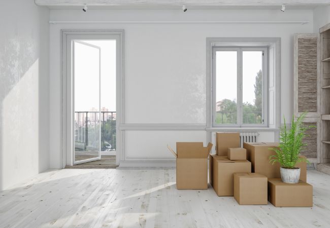 Move-In / Move-Out Cleaning